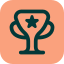 trophy-star (3)